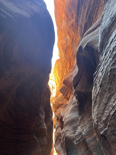 Paria Canyon-Vermilion Cliffs Wilderness