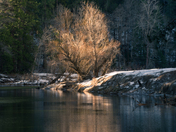 Yosemite National Park