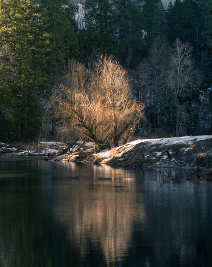 Yosemite National Park