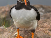 Heh MISTER......Whatcha DOIN todayyyyyy???