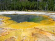 Yellowstone National Park