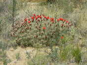 Chaco Culture National Historic Park