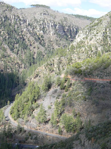 Coconino National Forest