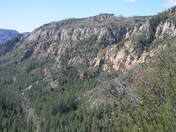 Cococino National Forest