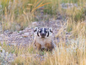 Arapaho National Wildlife Refuge