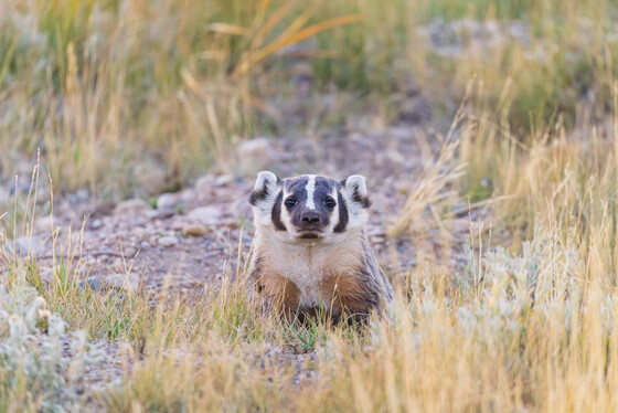 Arapaho National Wildlife Refuge