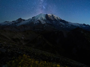 Mt. Rainier National Park