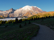 Mt. Rainier National Park 