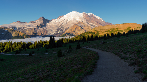 Mt. Rainier National Park 
