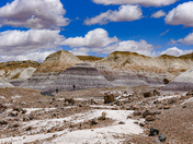 Petrified Forest National Park