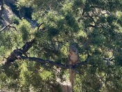 Grand Canyon National Park