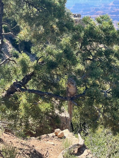 Grand Canyon National Park