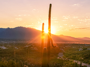 Saguaro National Park West