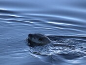 Point Reyes National Seashore
