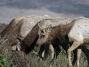 Point Reyes National Seashore