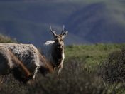 Point Reyes National Seashore