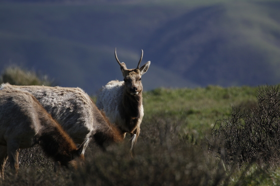 Point Reyes National Seashore