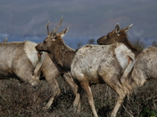 Point Reyes National Seashore