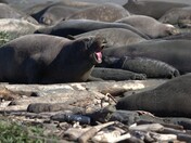 Point Reyes National Seashore