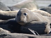 Point Reyes National Seashore