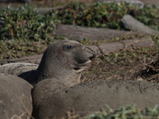 Point Reyes National Seashore