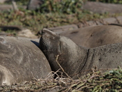 Point Reyes National Seashore