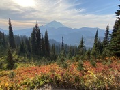 Mount Rainier National Park