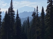 Mount Rainier National Park