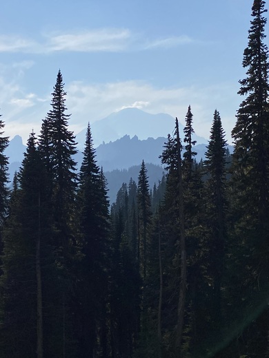 Mount Rainier National Park