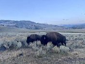 Yellowstone National Park