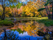 Rodgers Brook 22/10/12