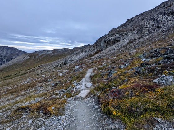 Denali National Park & Preserve