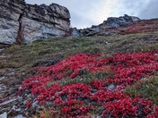 Denali National Park & Preserve