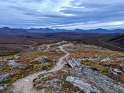 Denali National Park & Preserve
