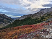 Denali National Park & Preserve