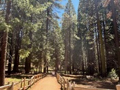 Sequoia and Kings Canyon National Parks