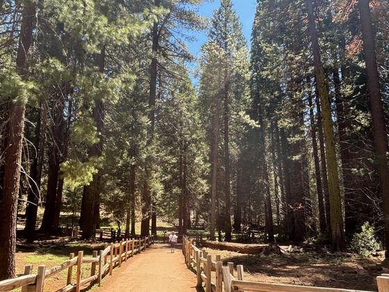 Sequoia and Kings Canyon National Parks