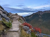 Denali National Park & Preserve
