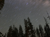Sequoia National Forest