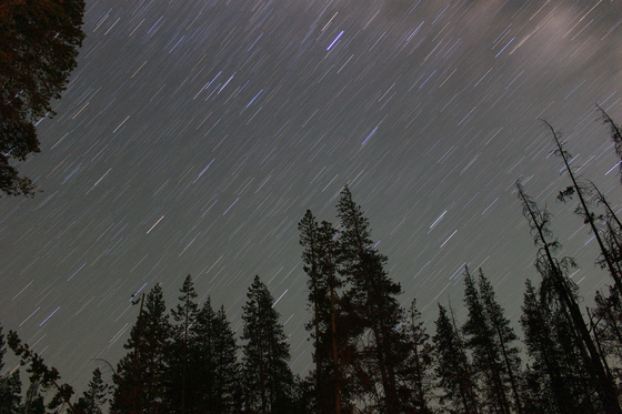 Sequoia National Forest