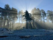 Olympic National Park