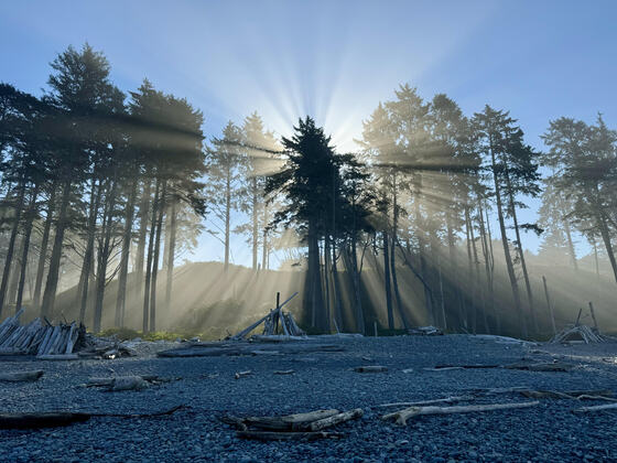 Olympic National Park