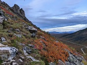 Denali National Park & Preserve