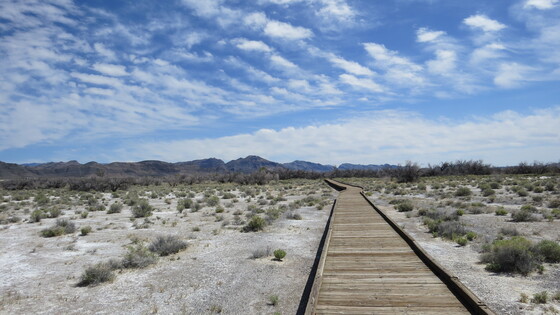 Mojave National Preserve