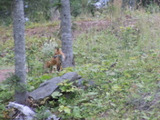 Isle Royale National Park