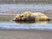 Katmai National Park