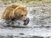 Katmai National Park
