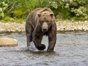 Katmai National Park