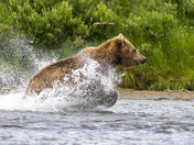 Katmai National Park