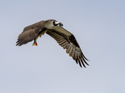 Grand Teton National Park